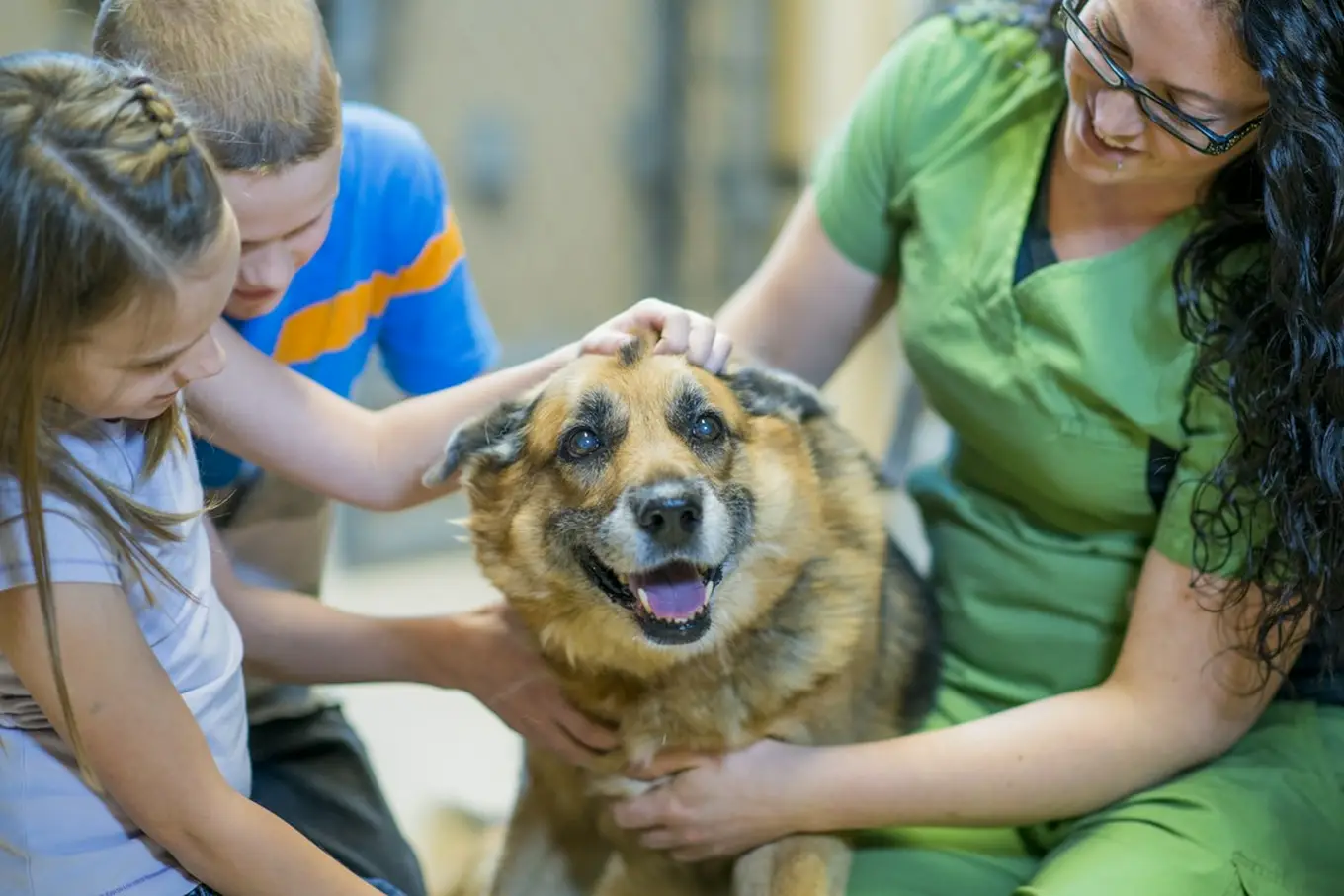 dogoterapia